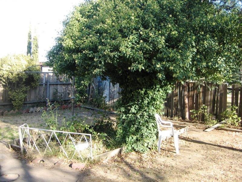 30 Breen Street, Quarry Hill VIC 3550