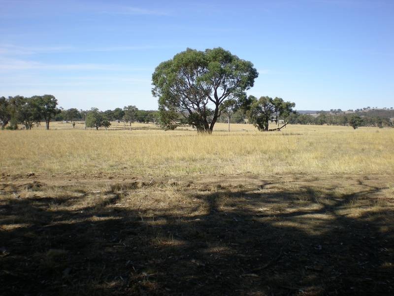 Lot 1,  Railway Place, Elphinstone VIC 3448