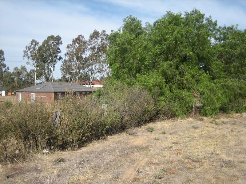 Lot 5, 111 St Killian Street, White Hills VIC 3550
