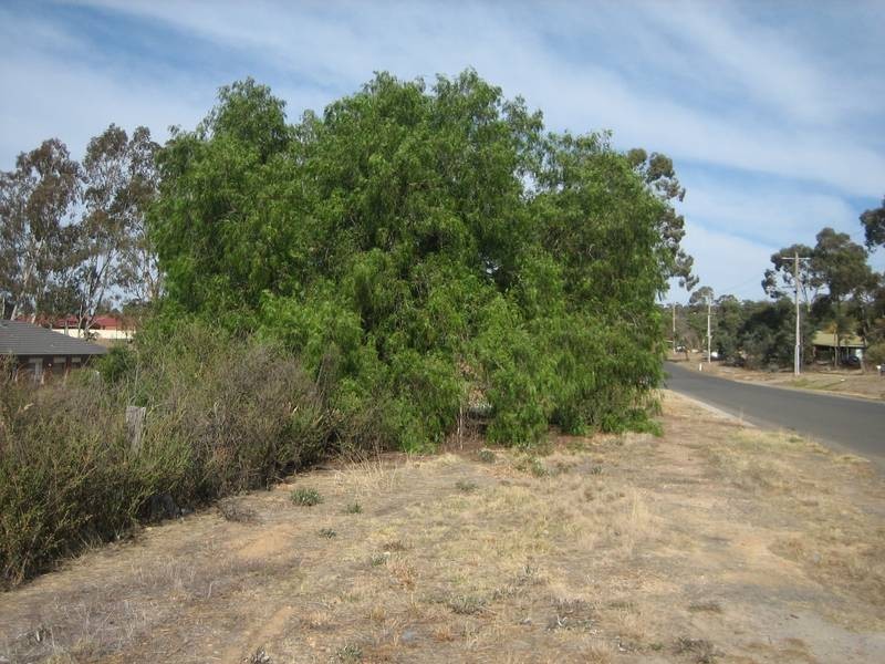 Lot 5, 111 St Killian Street, White Hills VIC 3550