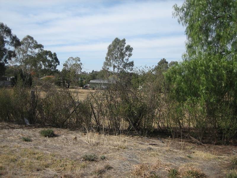 Lot 5, 111 St Killian Street, White Hills VIC 3550