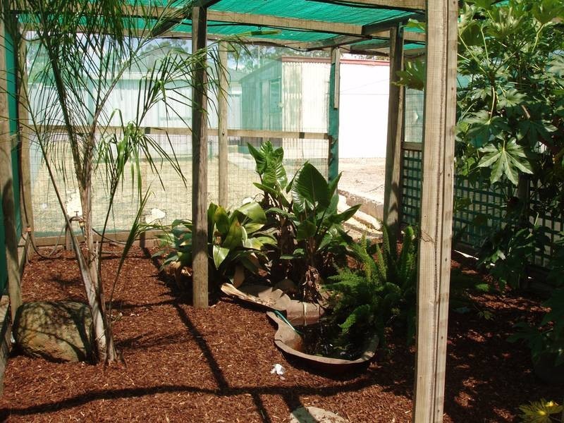 368 Napier Street, White Hills VIC 3550