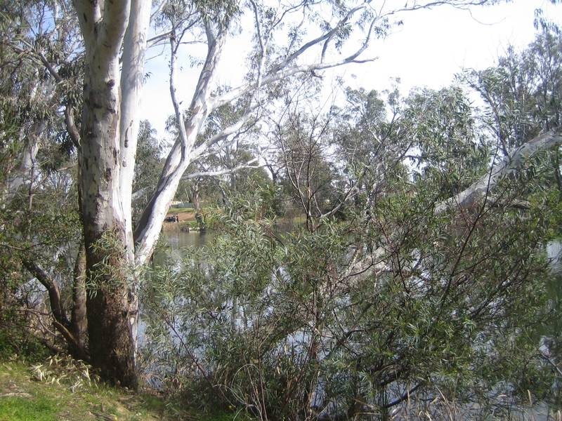 Lot 1,  Park Street, Bridgewater VIC 3516