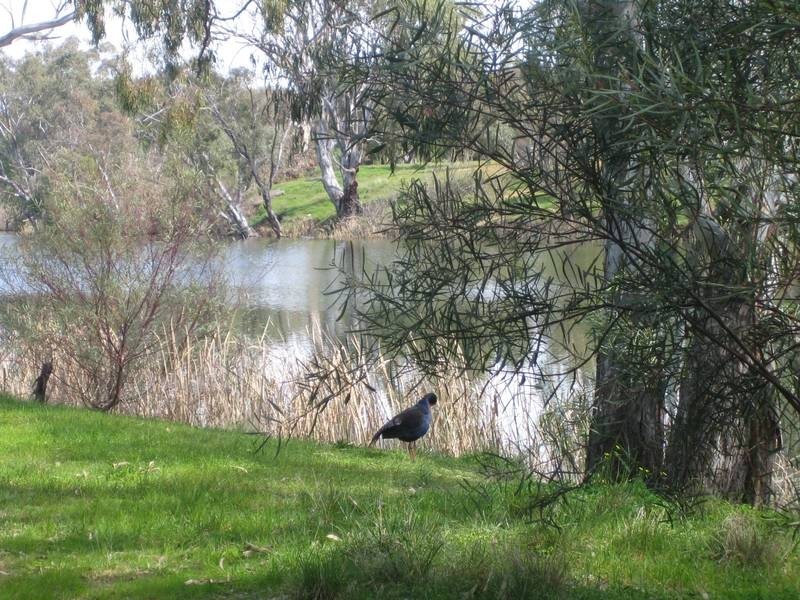 Lot 1,  Park Street, Bridgewater VIC 3516