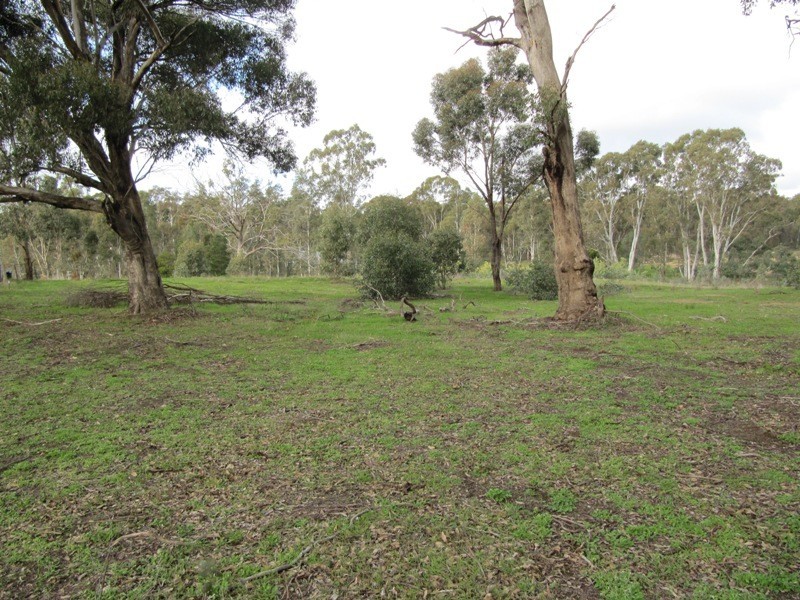 Lot 1,  Pentlands Road, Mandurang VIC 3551