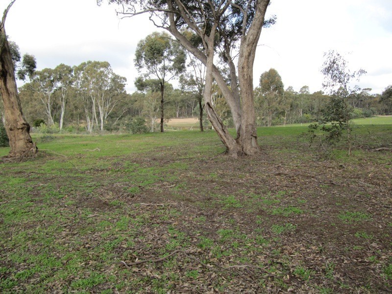 Lot 1,  Pentlands Road, Mandurang VIC 3551