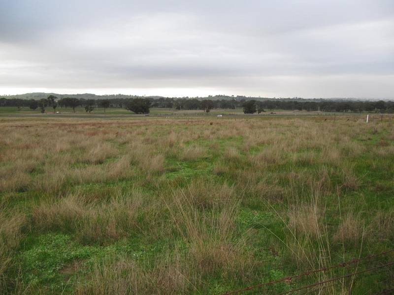Lot 23 & 24,  Calder Highway, Elphinstone VIC 3448