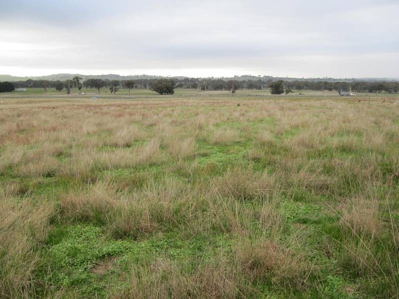 Lot 23 & 24,  Calder Highway, Elphinstone VIC 3448