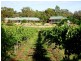 83 Cahills Road, Mandurang VIC 3551