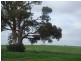 Lot 72,  Wild Cherry Road, Lockwood South VIC 3551