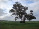 Lot 72,  Wild Cherry Road, Lockwood South VIC 3551