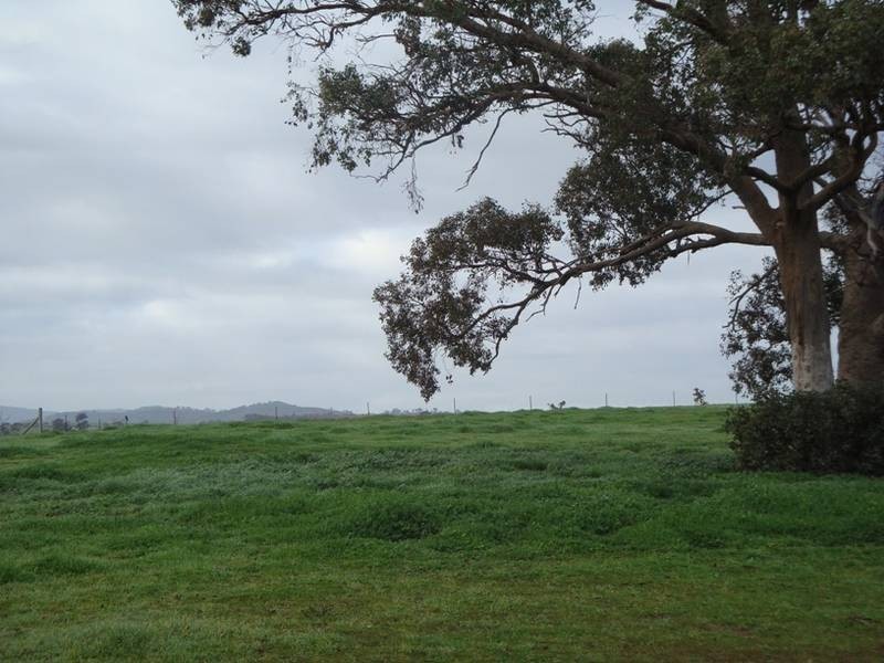 Lot 72,  Wild Cherry Road, Lockwood South VIC 3551