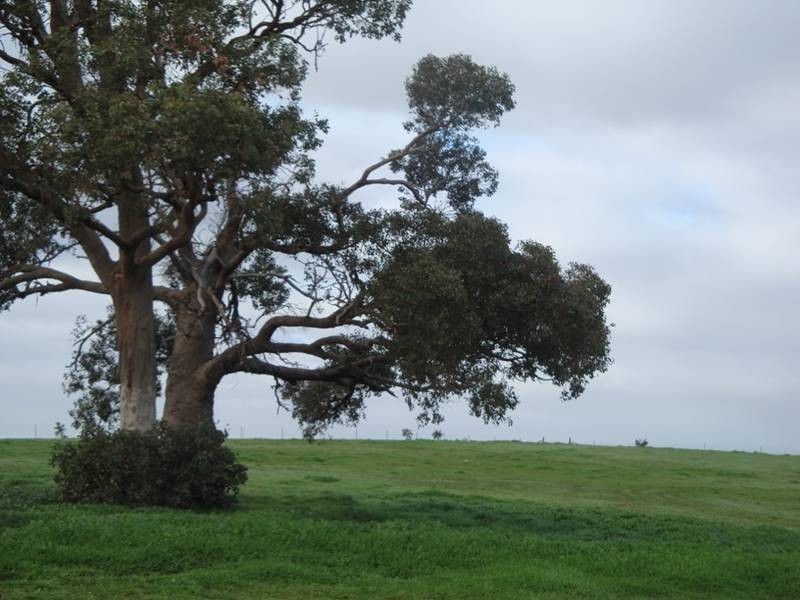 Lot 72,  Wild Cherry Road, Lockwood South VIC 3551