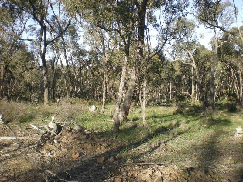 Lot 3,  Bennetts Road, Strathfieldsaye VIC 3551