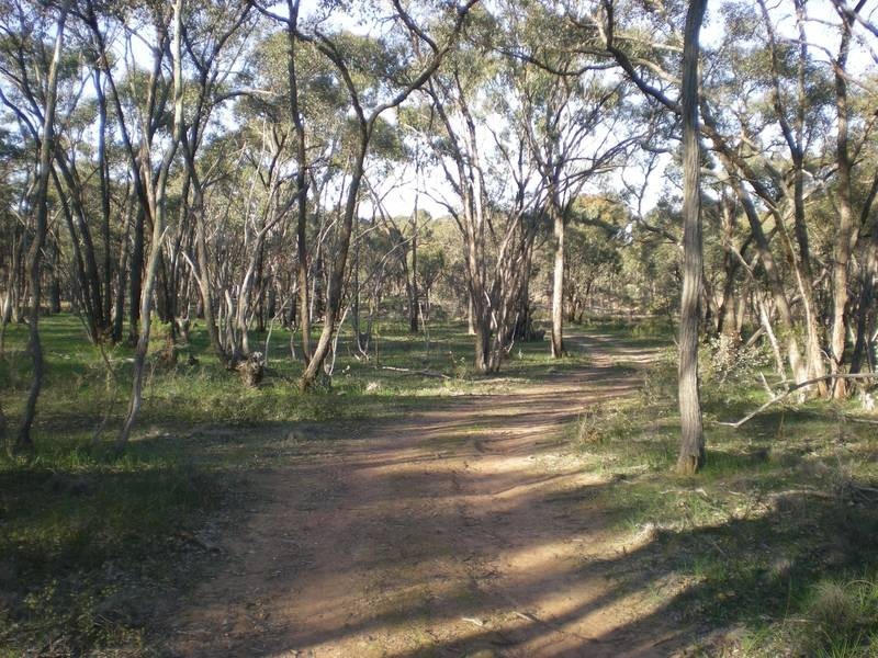 Lot 3,  Bennetts Road, Strathfieldsaye VIC 3551