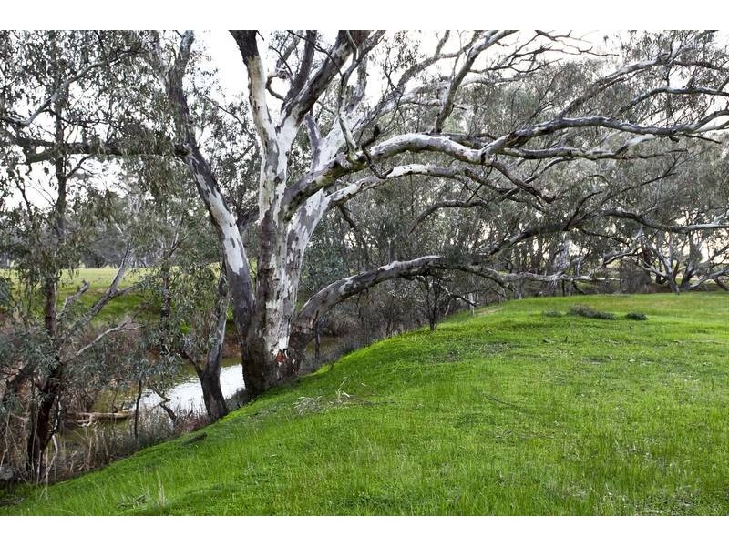 Lot 1, 131 Sugarloaf Road, Axedale VIC 3551