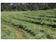 Lot 1, 131 Sugarloaf Road, Axedale VIC 3551
