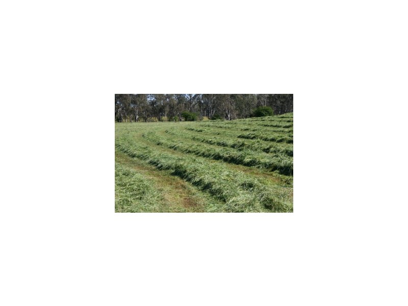 Lot 1, 131 Sugarloaf Road, Axedale VIC 3551