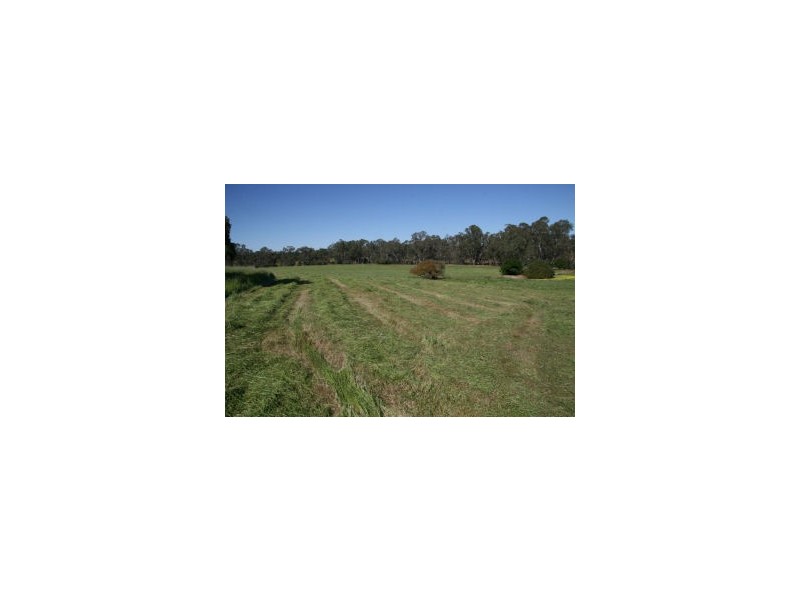 Lot 1, 131 Sugarloaf Road, Axedale VIC 3551