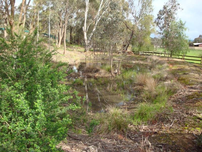 982 Wellington Street, Strathfieldsaye VIC 3551