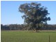 Lot 2,  LONGLEA MEADOWS, Longlea VIC 3551