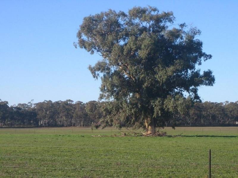 Lot 2,  LONGLEA MEADOWS, Longlea VIC 3551