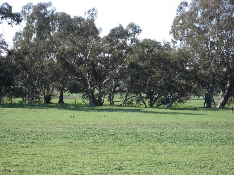 Lot 2,  LONGLEA MEADOWS, Longlea VIC 3551