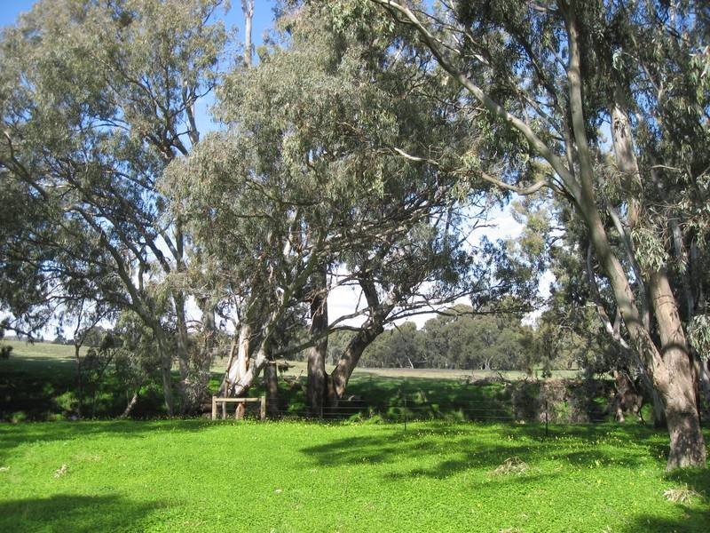 Lot 2,  LONGLEA MEADOWS, Longlea VIC 3551