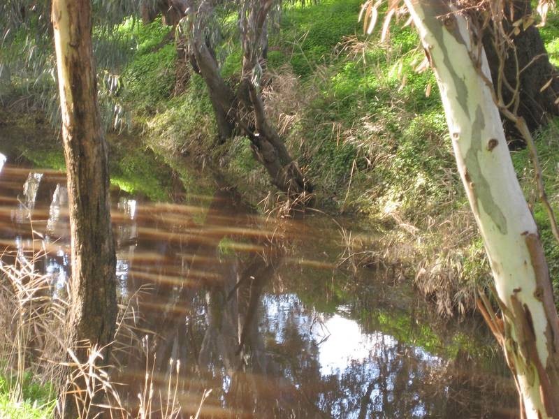 Lot 2,  LONGLEA MEADOWS, Longlea VIC 3551