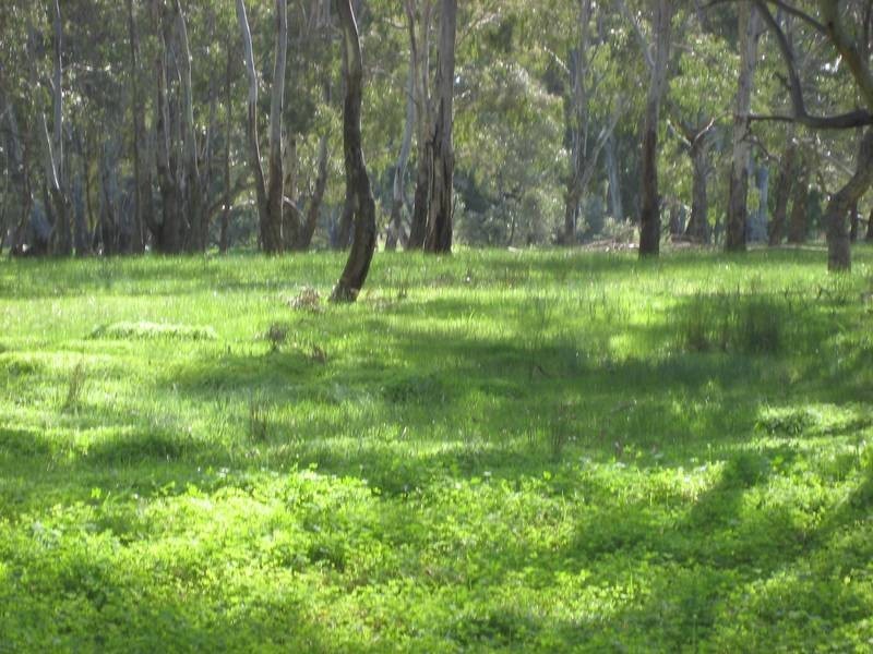 Lot 2,  LONGLEA MEADOWS, Longlea VIC 3551