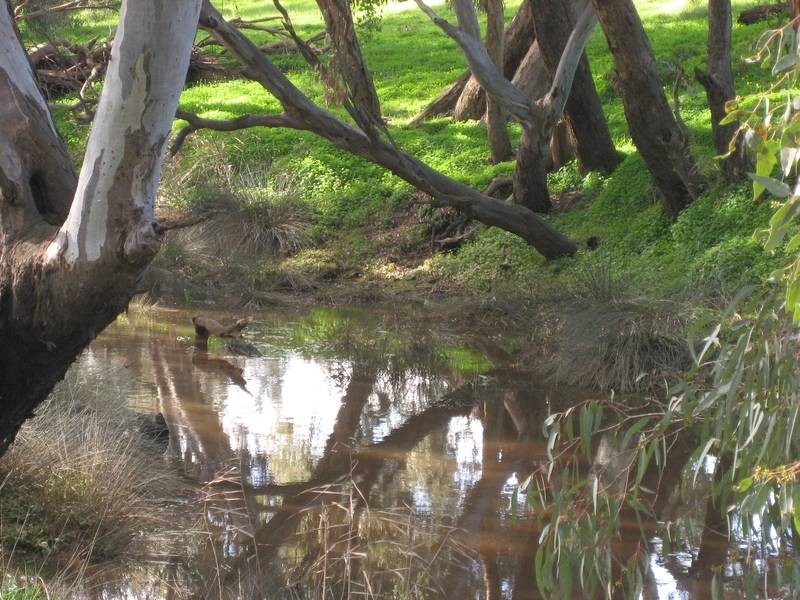Lot 2,  LONGLEA MEADOWS, Longlea VIC 3551