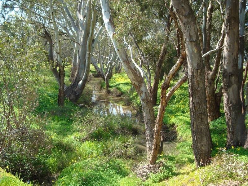 164 Burgoyne Street, Huntly VIC 3551