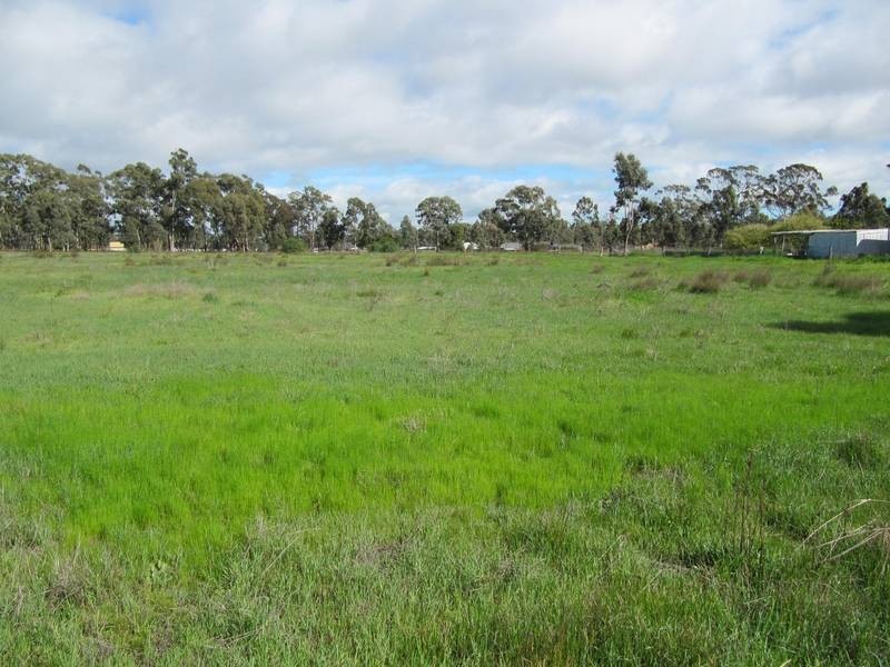 193 Jobs Gully Road, Eaglehawk VIC 3556