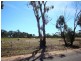193 Jobs Gully Road, Eaglehawk VIC 3556