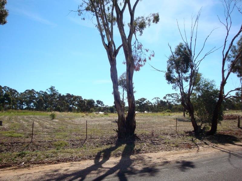 193 Jobs Gully Road, Eaglehawk VIC 3556
