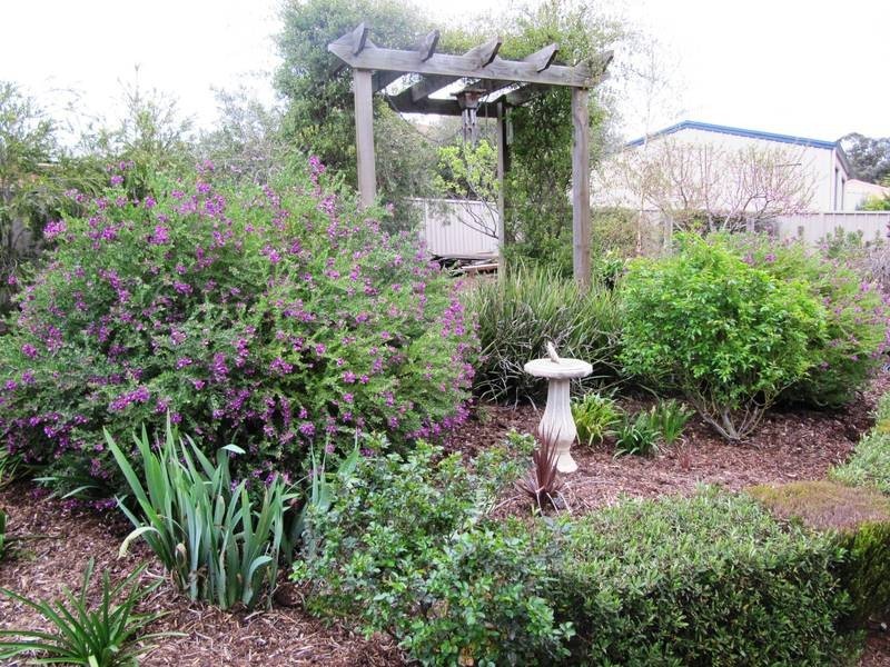 43 Burns Street, Spring Gully VIC 3550