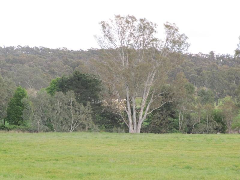 Lot 1,  Nankervis Road & Fadersons Lane, Mandurang VIC 3551