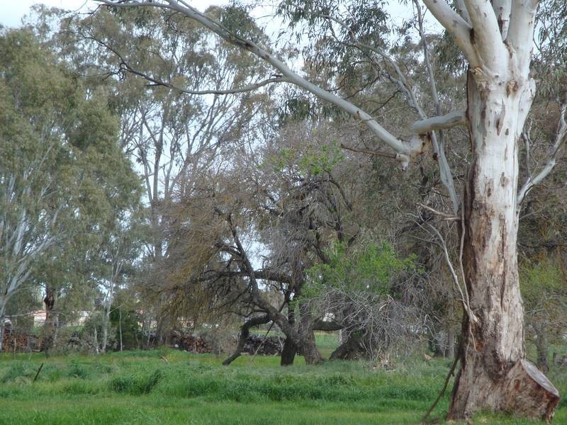 Lot 4,  Botheras Court, Epsom VIC 3551