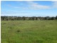 55 Wild Cherry Road, Lockwood South VIC 3551