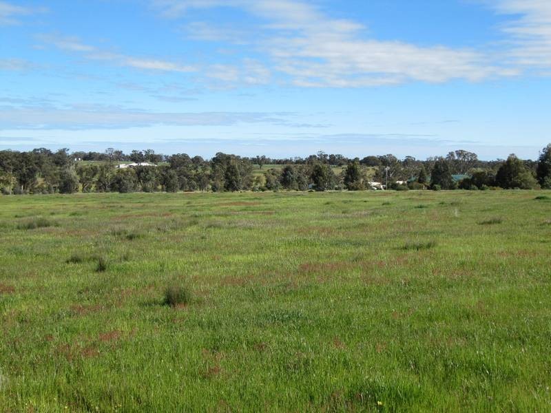 55 Wild Cherry Road, Lockwood South VIC 3551