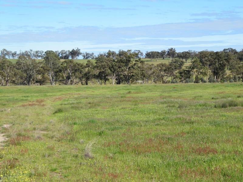55 Wild Cherry Road, Lockwood South VIC 3551
