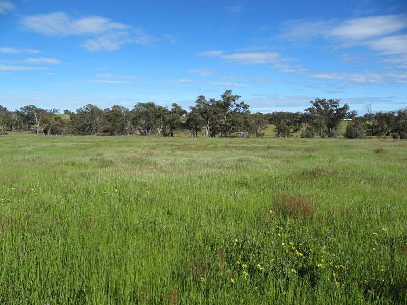 55 Wild Cherry Road, Lockwood South VIC 3551