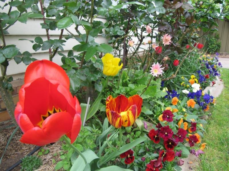 29 Norma Street, Golden Square VIC 3555