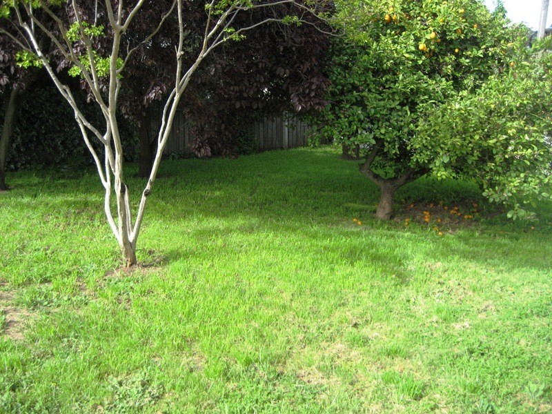 34 Adam Street, Quarry Hill VIC 3550