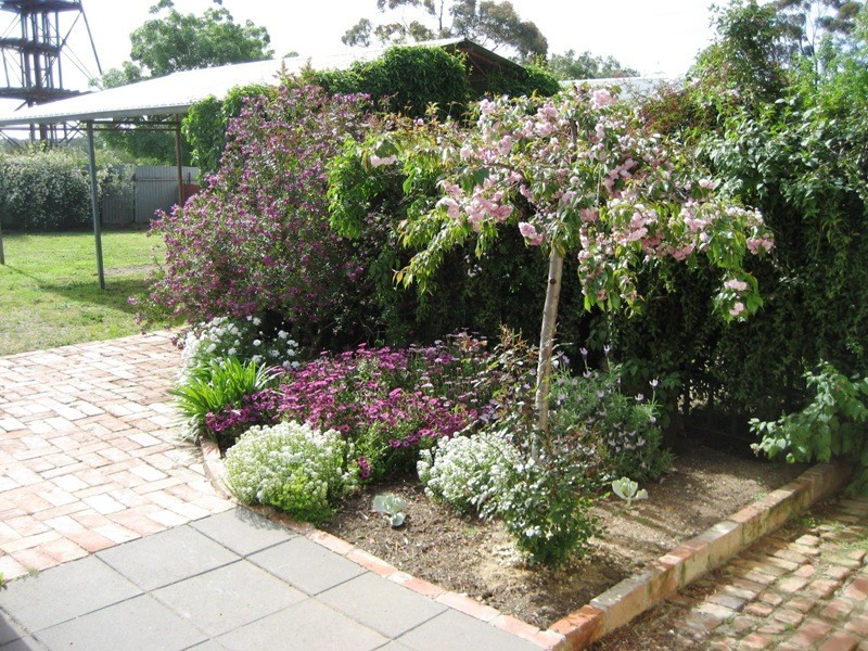 34 Adam Street, Quarry Hill VIC 3550