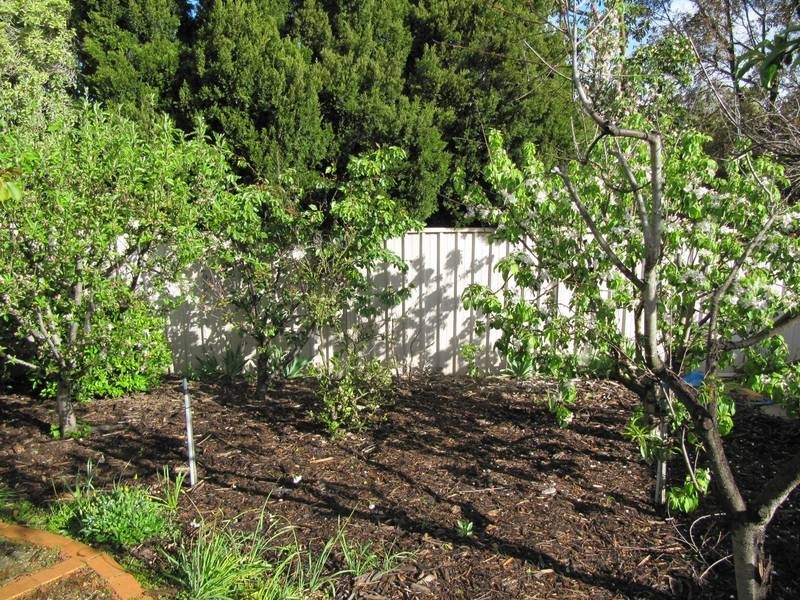 1 Opal Court, Strathdale VIC 3550