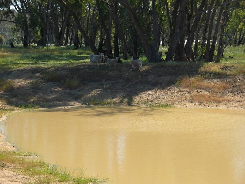 27 Nethercraig Road, Lockwood South VIC 3551