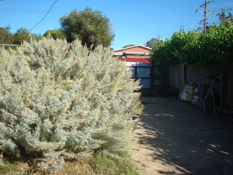 41 Gladstone Street, Quarry Hill VIC 3550