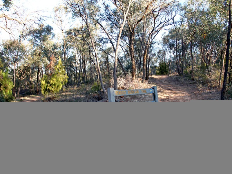 31 Elwood Drive, Strathdale VIC 3550