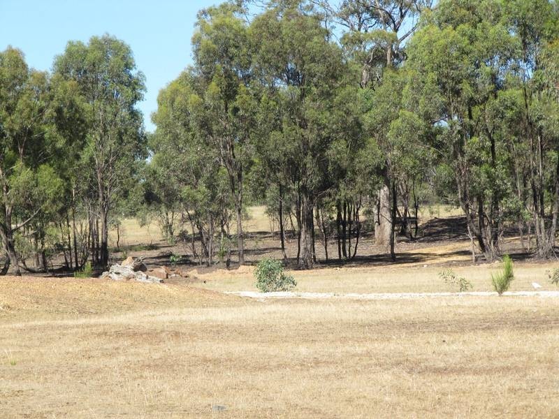 461 Native Gully Crescent, Eppalock VIC 3551